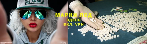 СК Куйбышев
