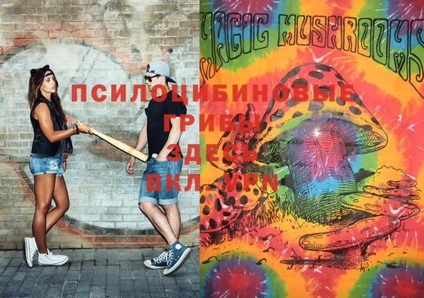 гидропоника Кулебаки