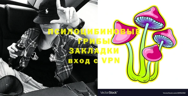 СК Куйбышев