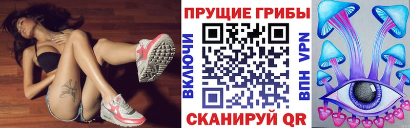 Галлюциногенные грибы Psilocybe  Усть-Катав 